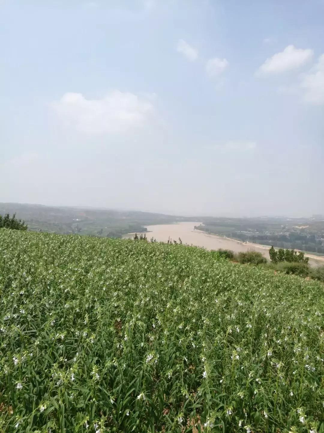 土地庙龙王庙开光仪式文字,城隍开光典礼