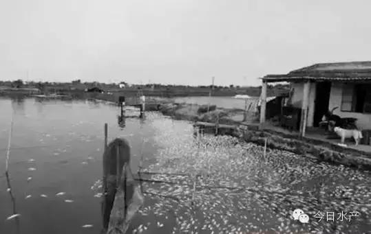 如何应对高温缺氧,高温缺氧怎么办