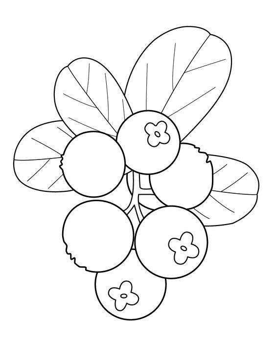 各种水果蔬菜的简笔画图片,简笔画蔬菜水果24张简单简笔画