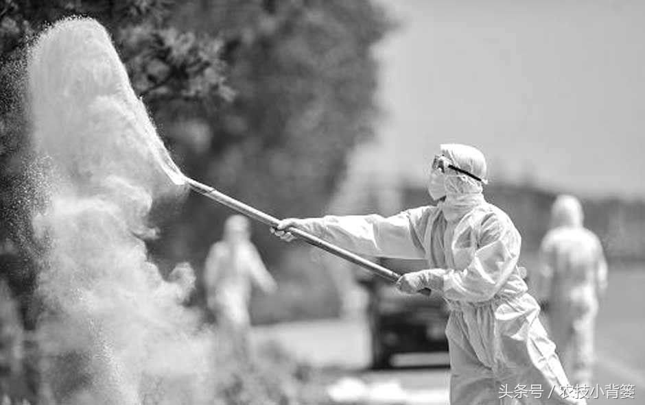 生石灰种地有什么好处,田里撒生石灰会不会对作物有影响