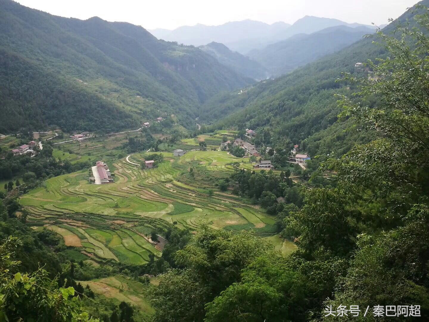 小草坝云南最美的天麻之乡,带你走进云南天麻之乡