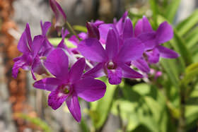 单反相机新手零基础教学佳能相机,佳能数码相机摄影技巧大全