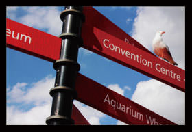 单反相机新手零基础教学佳能相机,佳能数码相机摄影技巧大全