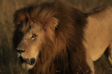 如何调整佳能单反相机参数设置,佳能单反相机基本使用教程