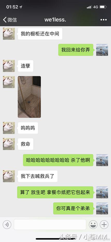 蜜蜂仔吐槽韦酱,韦酱和蜜蜂仔