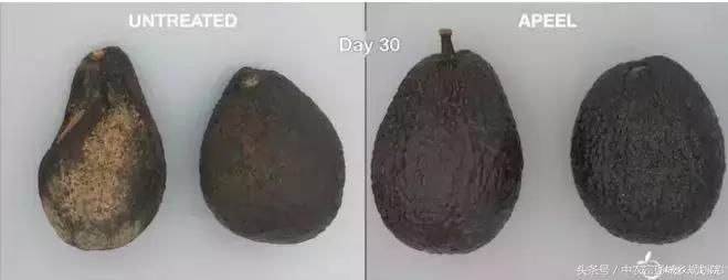 防腐保鲜剂真的管用吗,保鲜喷剂真的有效吗