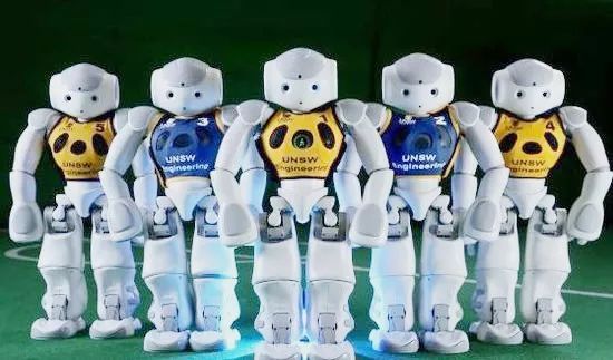 快乐暑假实践营,快乐暑假活动来袭