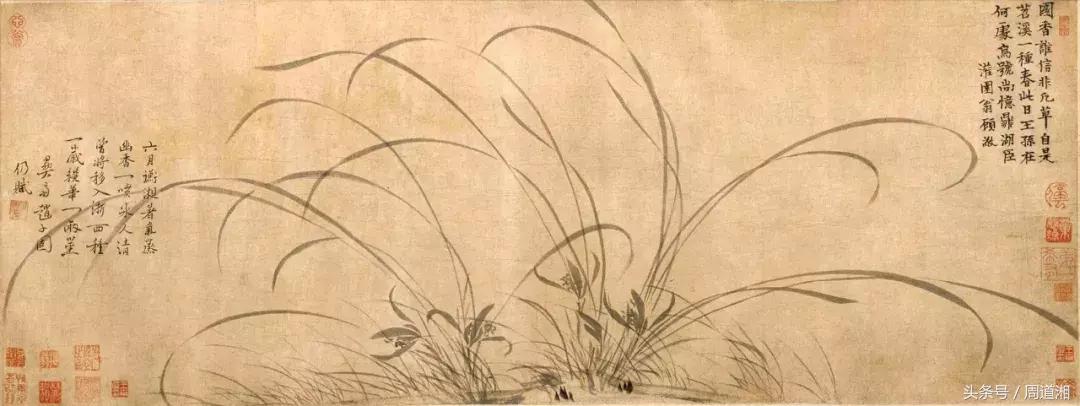 国画四大君子之兰花,国画兰花最好的是哪种