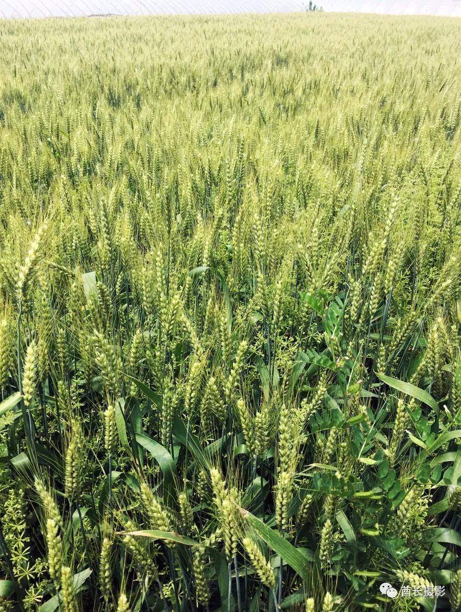 和县南京,南京悠闲的地方