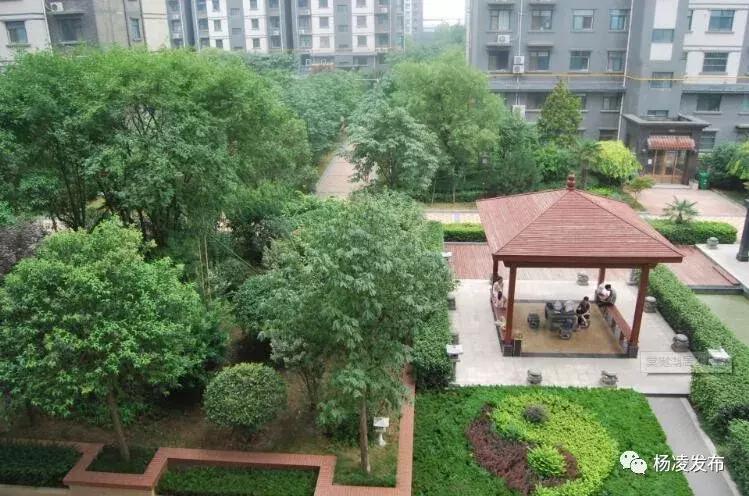 杨凌绿化最好的小区,杨凌绿地二期附近公园推荐