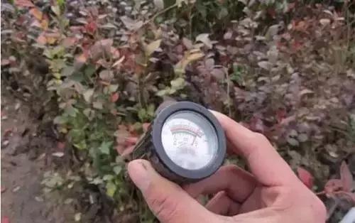 7个简单方法,教您判断土壤酸碱度