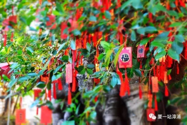 漳浦必去景点,漳浦最出名的地方