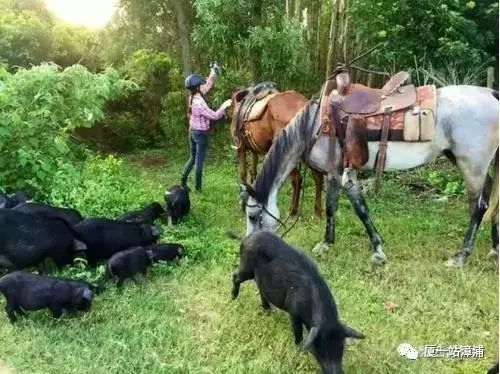 漳浦必去景点,漳浦最出名的地方