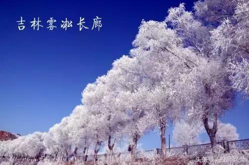 中国大学30强排名榜,中国各地最好大学图示