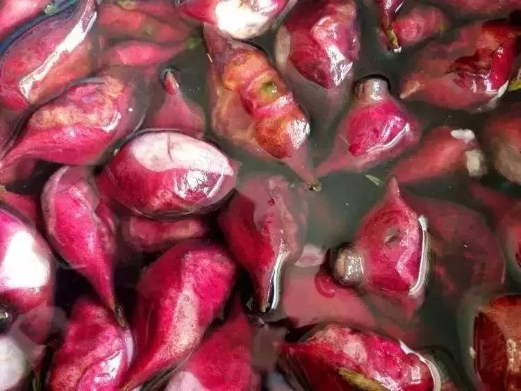 常州有15大变化,江苏常州最新动向