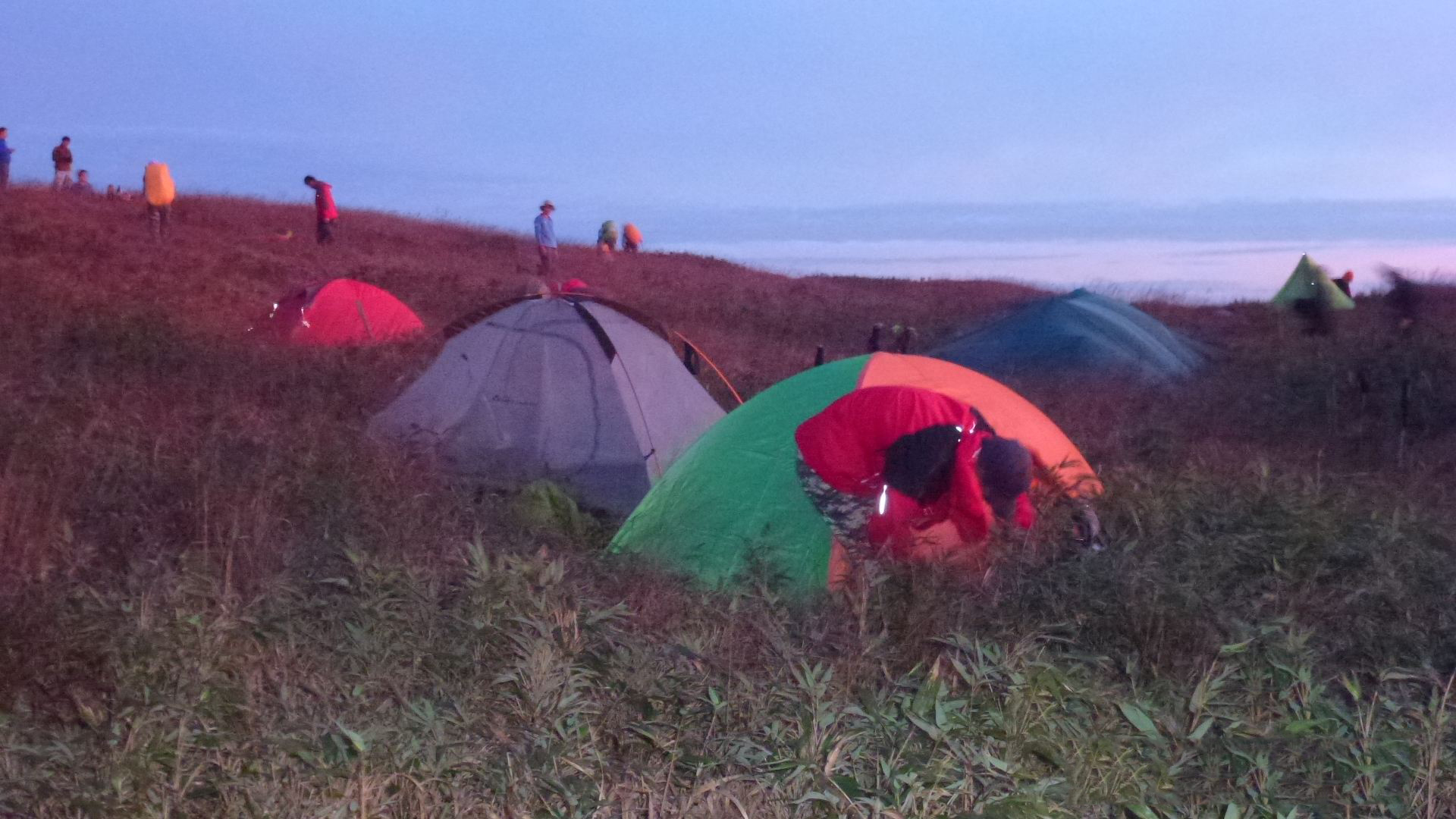 想看大草原是去西藏还是新疆,想看草原去哪里合适
