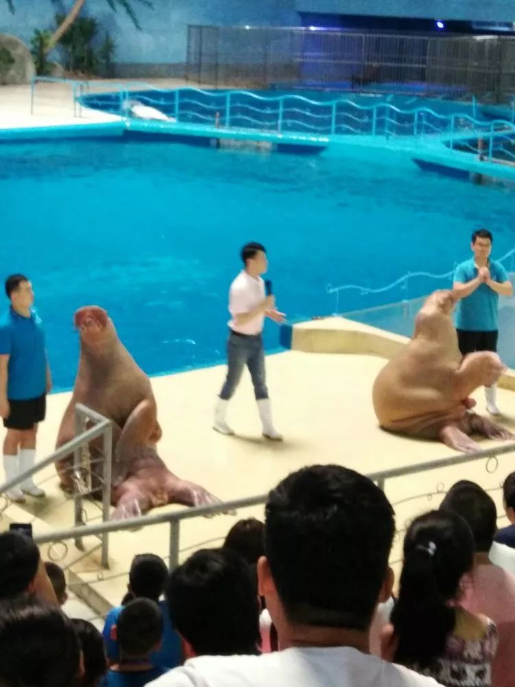 关爱困境儿童微心愿活动,关爱留守儿童圆梦微心愿活动