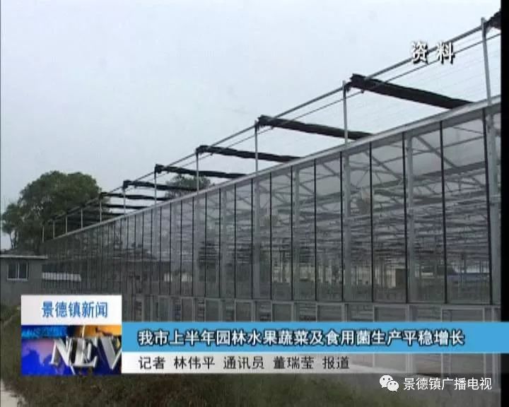 新闻来了河南,新闻来了newsdaily