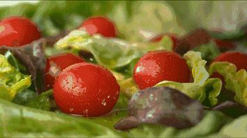 verydelicious是什么梗,verydelicious是错的吗