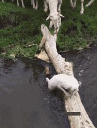 分享个笑话段子给大家乐一乐,最新10个笑话发给大家乐一乐