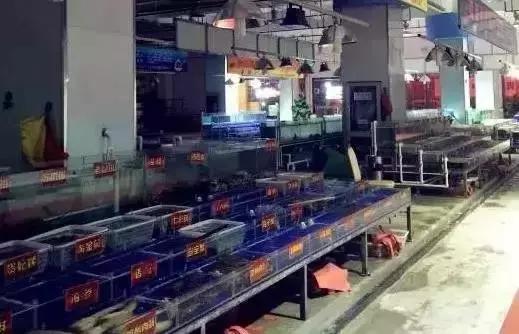 开渔哪种海鲜好吃,开渔了哪里吃海鲜