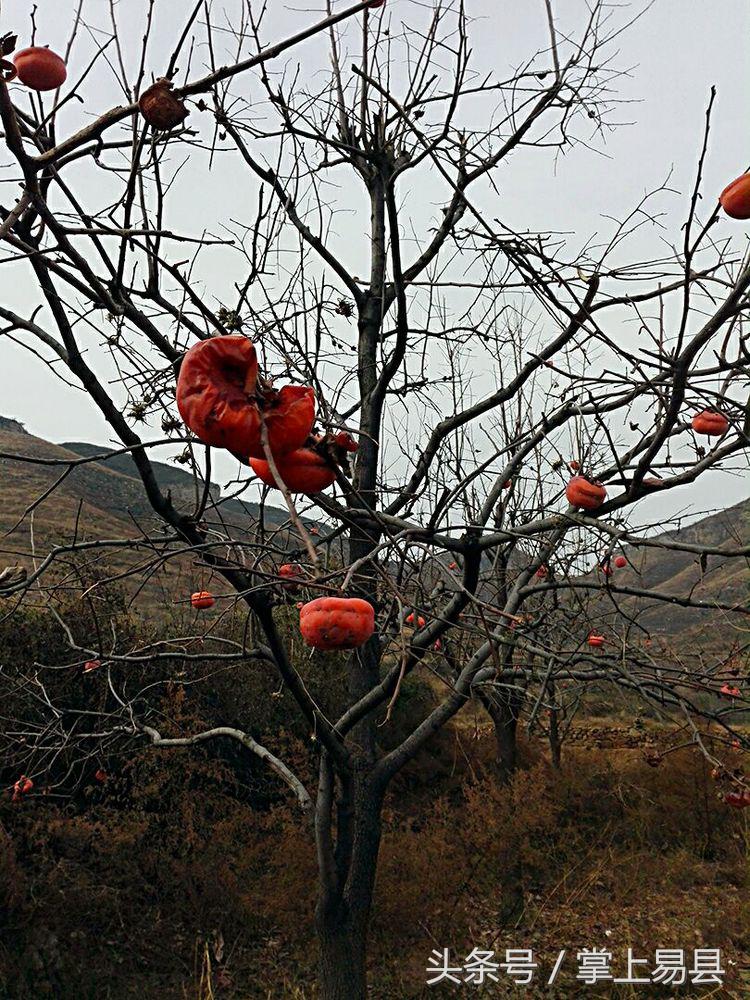 窟窿山,凤凰山星月