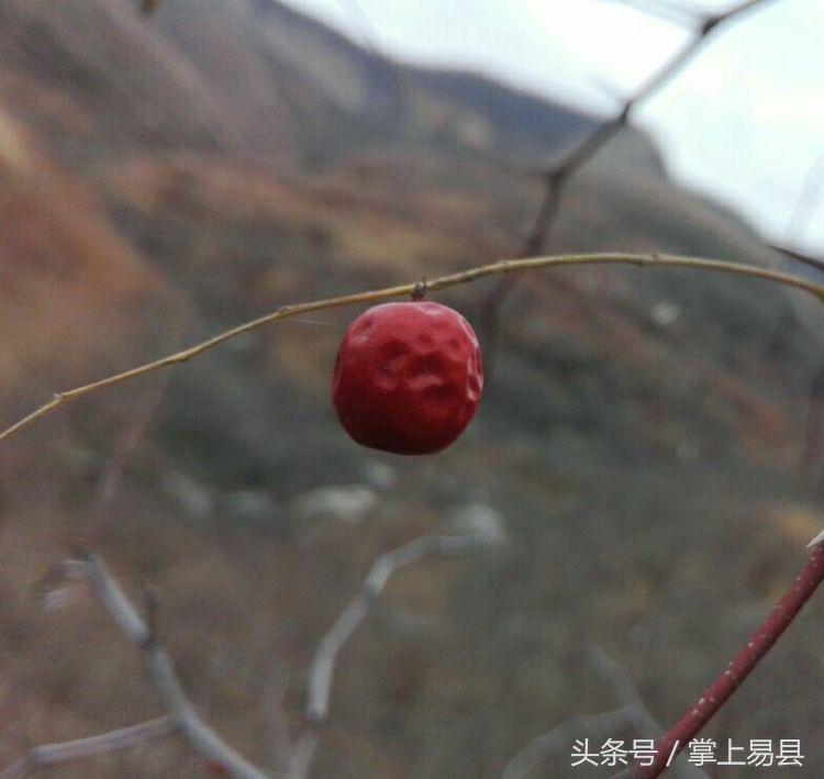 窟窿山,凤凰山星月