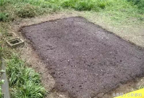 多肉颗粒土直播,多肉颗粒土批发