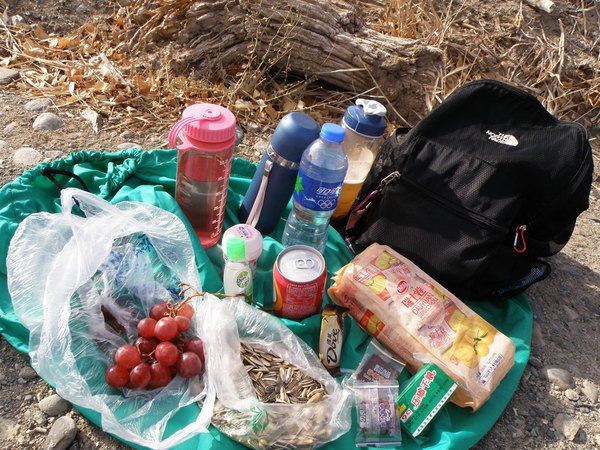 *疆新**（六）——梦牵大西北13