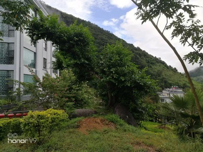 峡谷最美的温泉,必去的真温泉