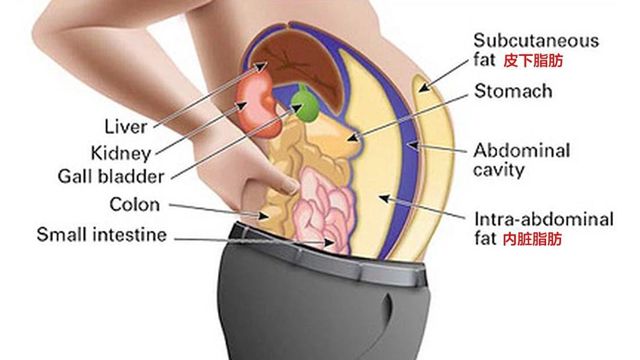 小肚腩好物分享,好物推荐每天扭一扭瘦出小肚腩