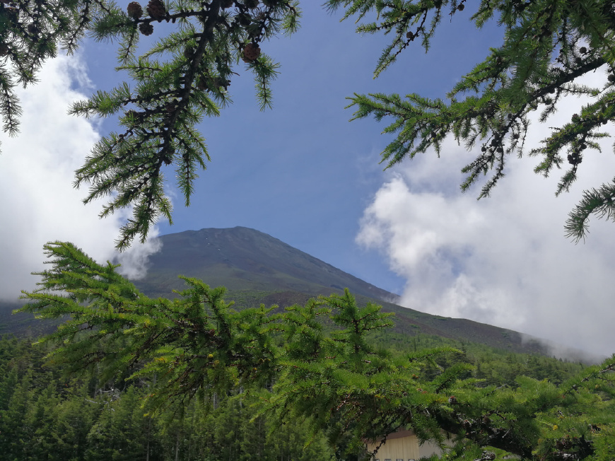 网贷36%的利率为什么能上征信,年利率36%的网贷有哪些