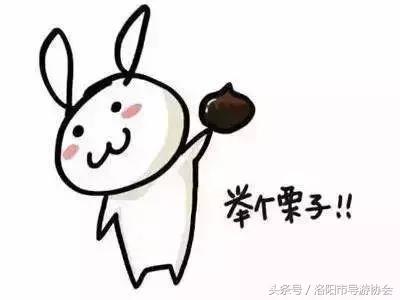 导游如何带领客户,导游怎么为购物海鲜干货做铺垫