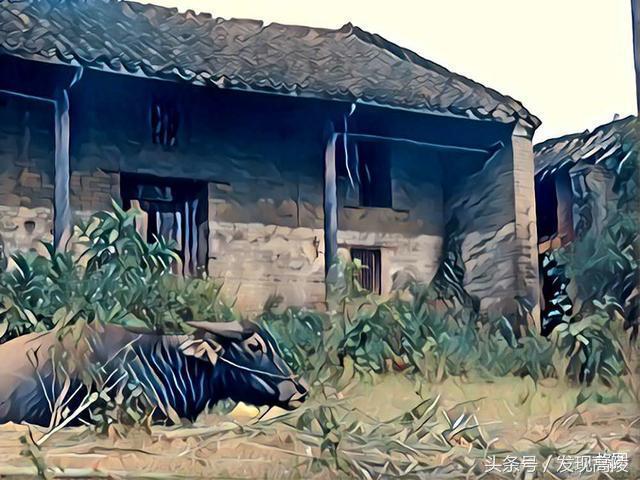 陕西关中六十年代农村土炕照片,记忆中的土炕