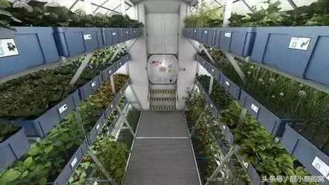 论种族天赋，在下是彻底输给了这波神操作了！