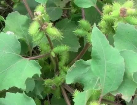 南阳人还去什么医院?你脚底下就是药房!