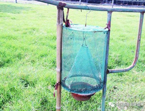 养殖场苍蝇消灭神器,养殖场高效除苍蝇