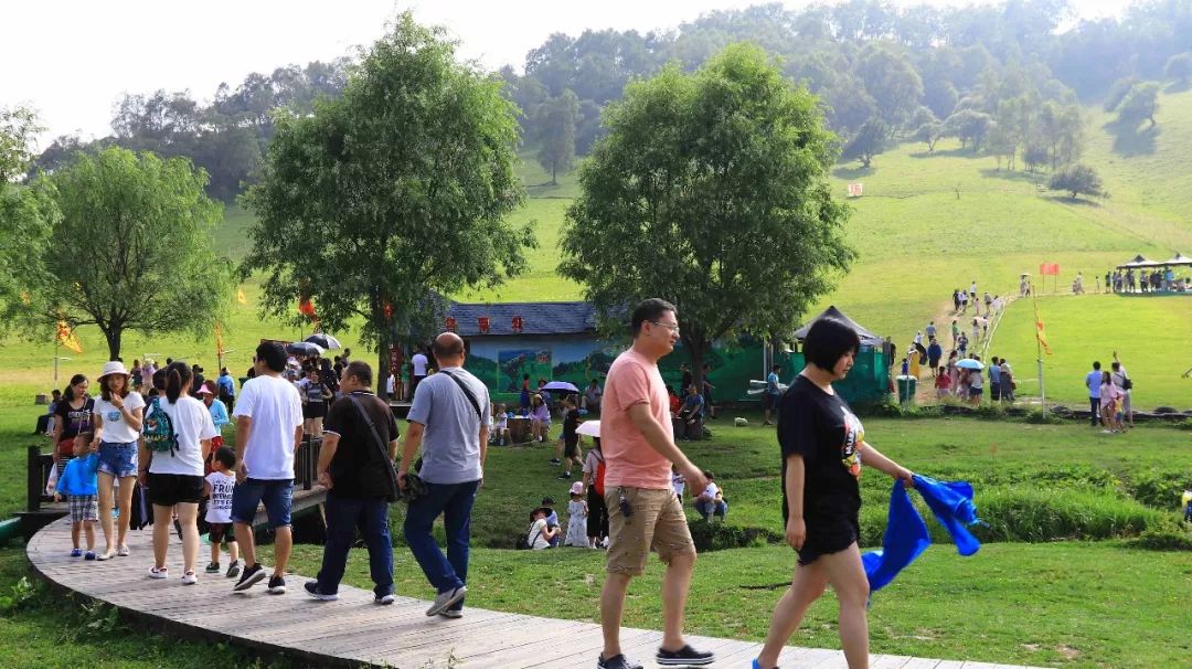 人从众的模式,人从众