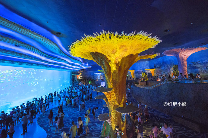 暑假珠海长隆最全游玩攻略,珠海长隆海洋王国暑假门票多少钱