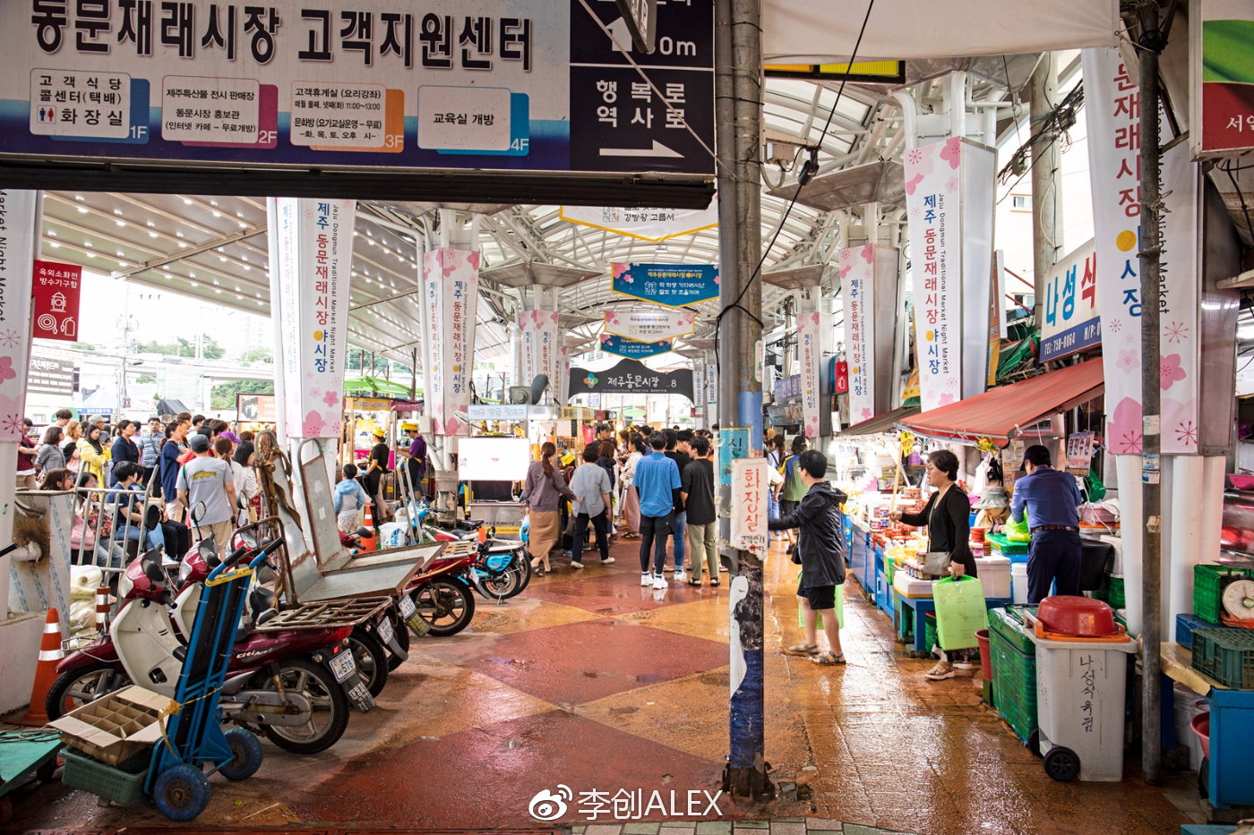 济州岛即将上演的童话世界,去济州岛旅行的感受