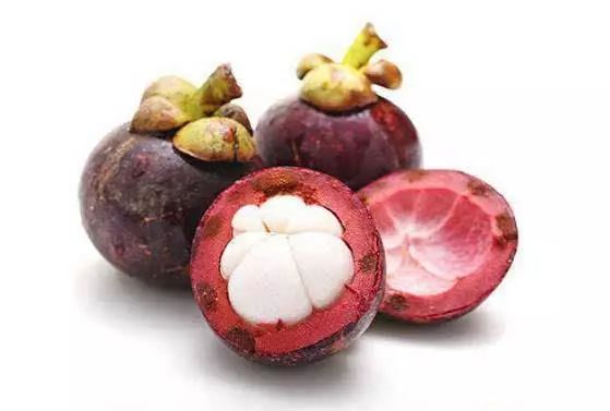 吓晕！厦门一女子吃山竹被毒虫蜇了！专家：是只“纳凉”的蝎子