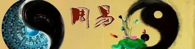 盆景人生哲理,从盆景欣赏体会人生哲理