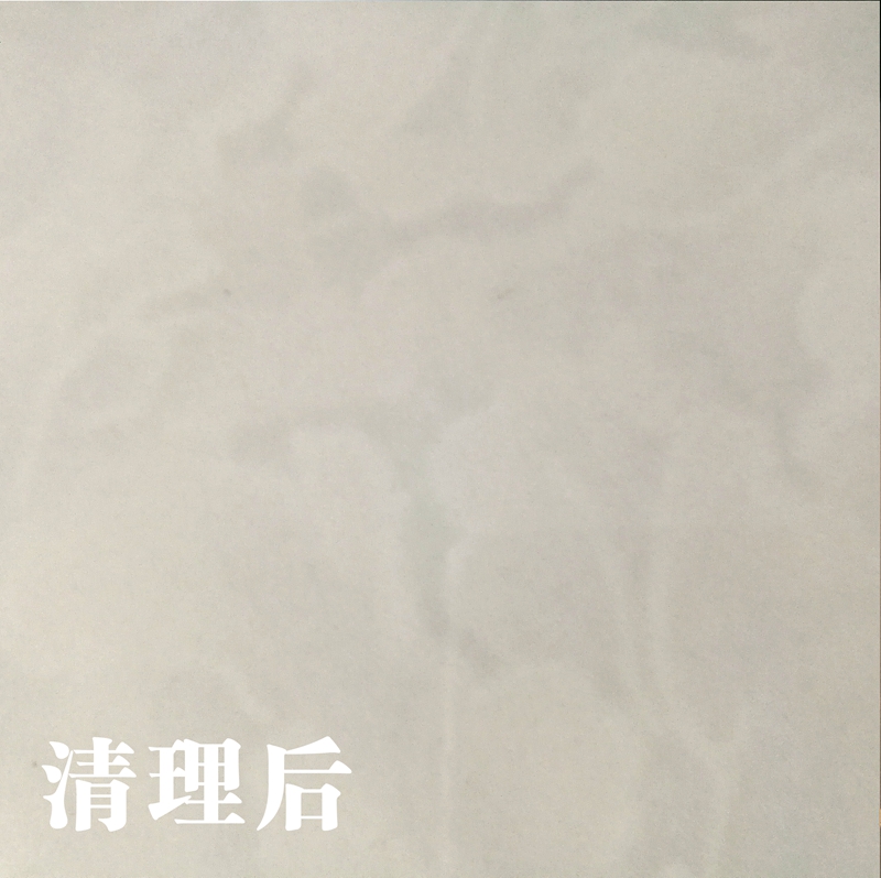 eureka洗地毯机器,卡赫蒸汽清洁机sc5评测