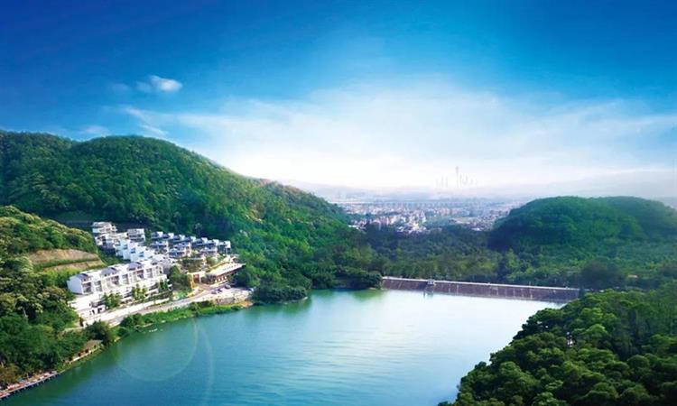 红薯和螺蛳打窝钓大青鱼的技巧,怎么用红薯做青鱼和草鱼的饵料