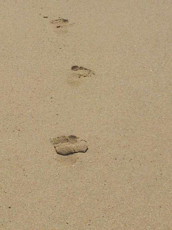 大宝二宝三亚游,三亚三妈游玩攻略