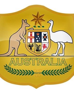 世界杯32强队徽法国队,世界杯32强队徽英文