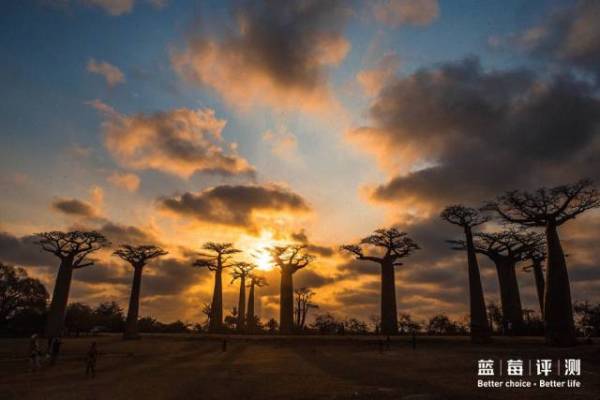 蓝莓评测｜全球60个海岛评测，假期选岛就看这一篇（上）