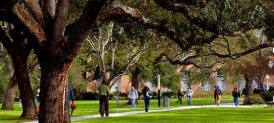 只要没出机场，看到这个牌子，千万别摸手机