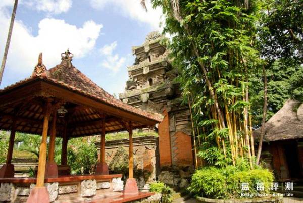 蓝莓评测美国蓝莓,蓝莓评测