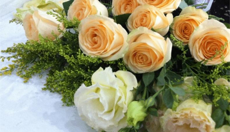 七夕节十一枝玫瑰花语是什么,七夕节玫瑰花图片花语